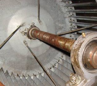 �߉��L�C��ϴ���������Bע�����  ����